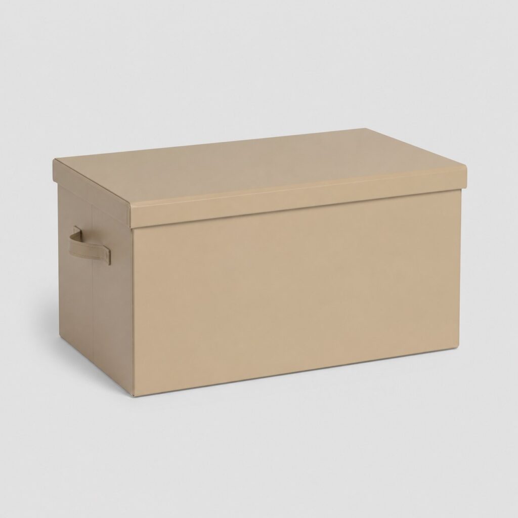 Grande malle de rangement beige à couvercle plat sur fond neutre