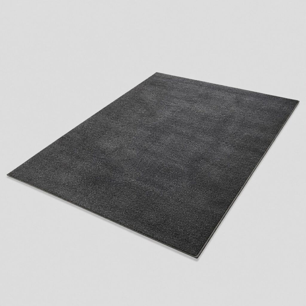 Tapis de salon gris anthracite à poils courts sur fond gris clair